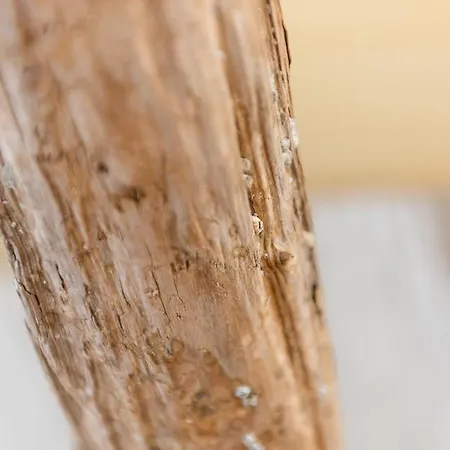 Inselblick * Hörnum