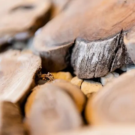 Apartament Inselblick *